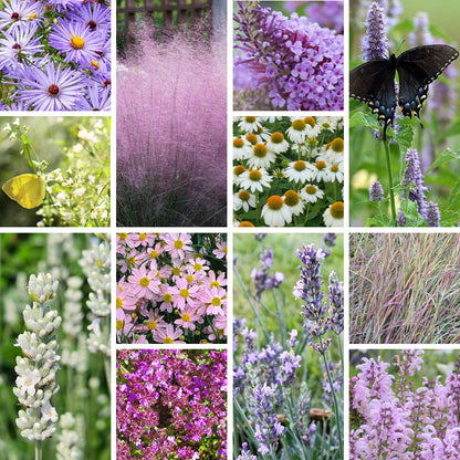 Lavender Cottage Pre-Planned Garden