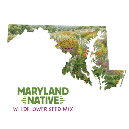 Maryland Native Wildflower Seed Mix