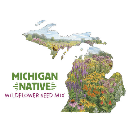 Michigan Native Wildflower Seed Mix