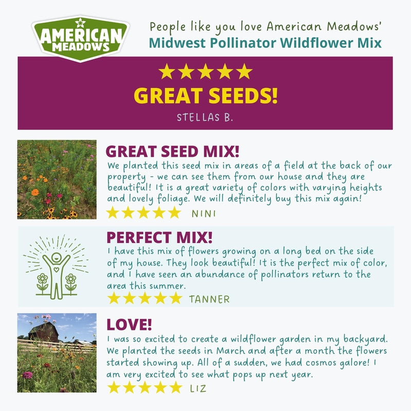 Midwest Pollinator Wildflower Seed Mix