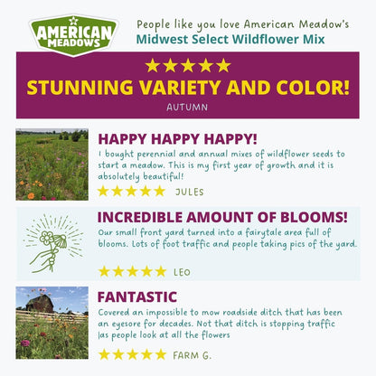 Midwest Select Wildflower Mix customer reviews