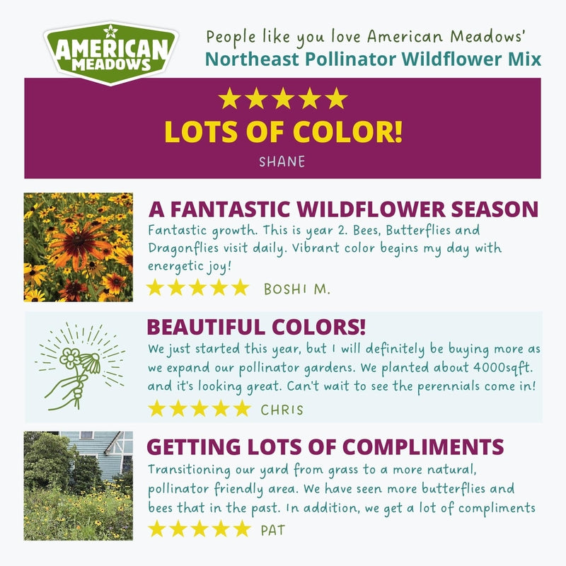 Northeast Pollinator Wildflower Seed mix customer reviews