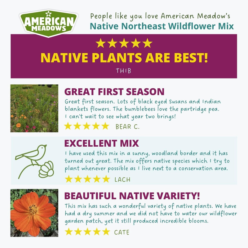 Native Northeast Wildflower Seed mix customer reviews