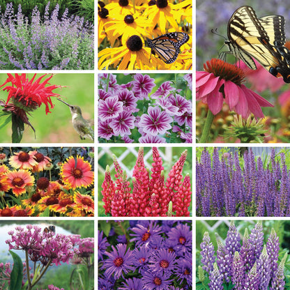 Support Your Pollinators Pre-Planned Garden