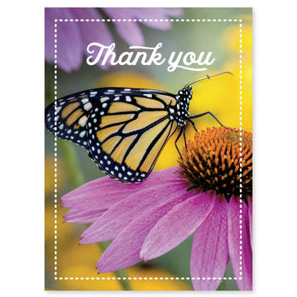 Thank You Butterfly Seed Packet