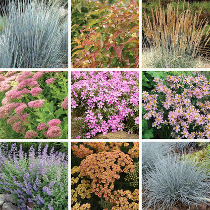Tranquil Beauty Curb Appeal Pre-Planned Garden