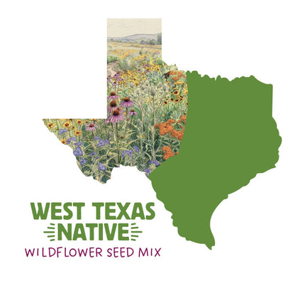 West Texas Native Wildflower Seed Mix