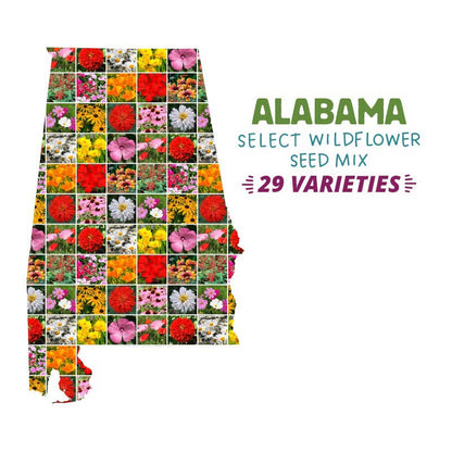 wildflower seeds alabama Alabama Select Wildflower Seed Mix