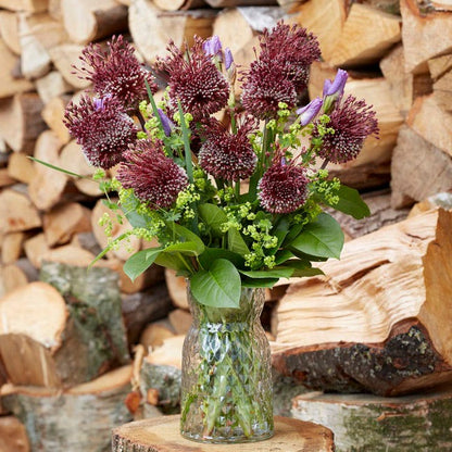 Red Mohican® Allium