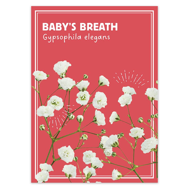 Baby's Breath Seed Favor Packet