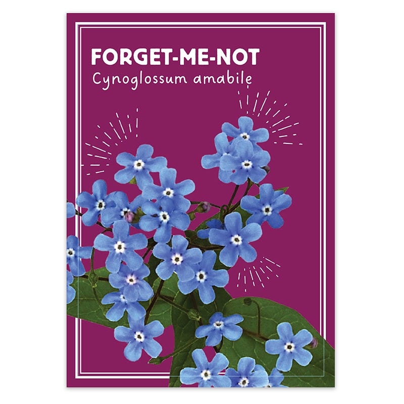 Forget Me Not Seed Packet, Seed Favors | American Meadows