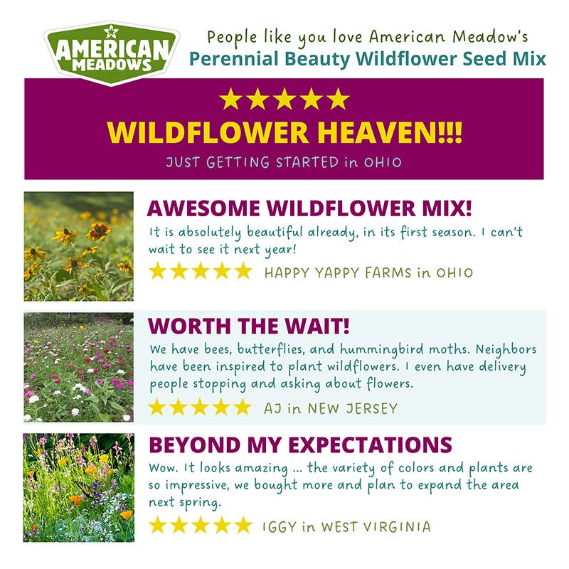 wildflower seeds annual or perennial Perennial Beauty Wildflower Seed Mix