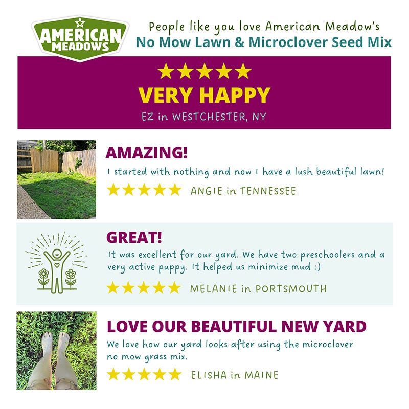 No Mow Lawn & Microclover Seed Mix