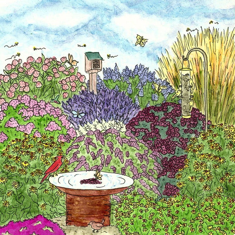 Buzz & Flutter Pollinator Pre-Planned Garden