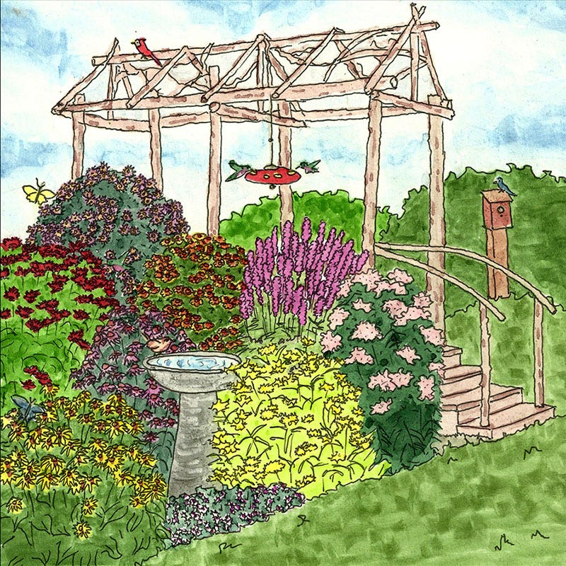 Natural Nectar Native Pre-Planned Garden