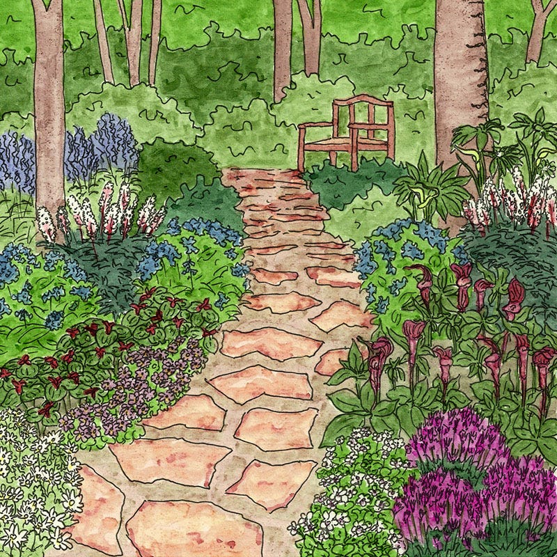 Serene Woodland Pre-Planned Garden