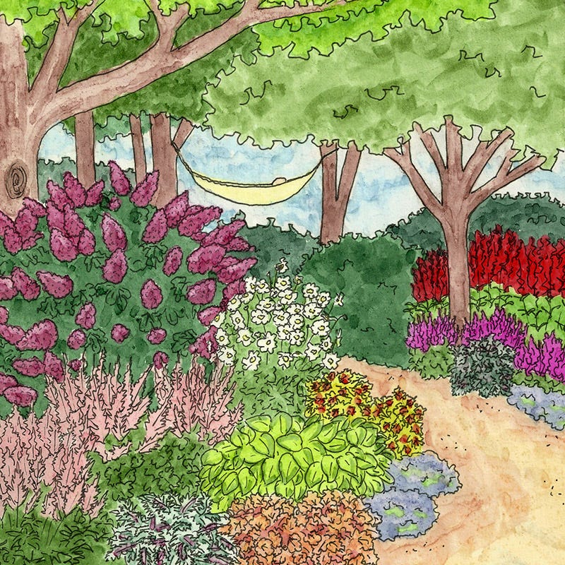 Vibrant Shade Pre-Planned Garden - Large