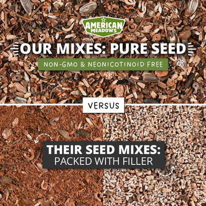 Perennial Beauty Wildflower Seed Mix