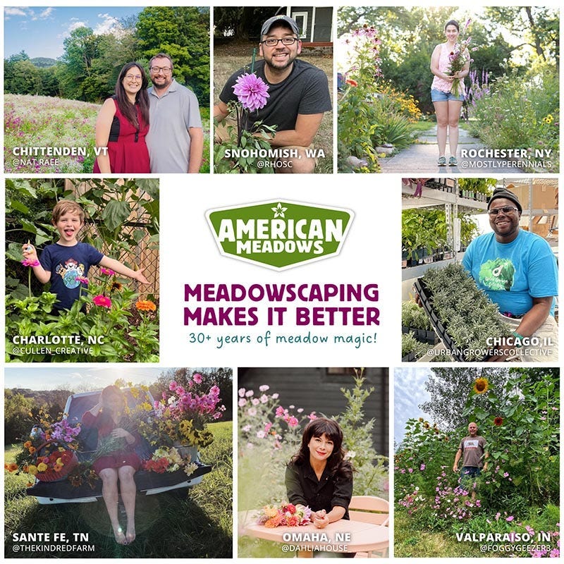 North Carolina Select Wildflower Seed Mix