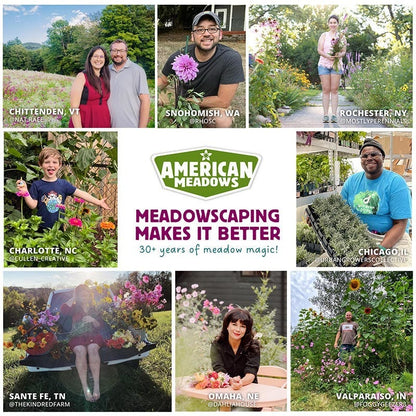 North Carolina Select Wildflower Seed Mix