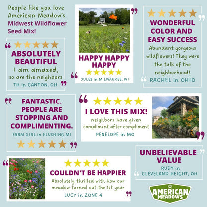 Midwest Wildflower Seed Mix