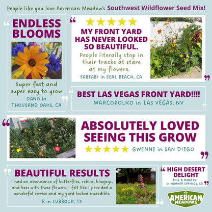 Southwest Wildflower Seed Mix