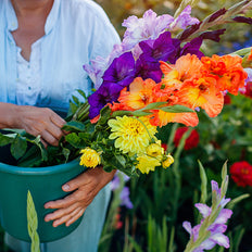Spring-Planted Bulbs On Sale