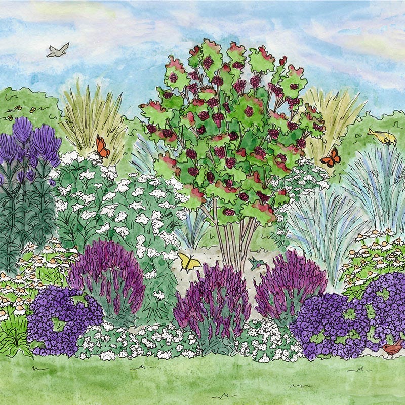 Violet Dreamscape Pre-Planned Garden