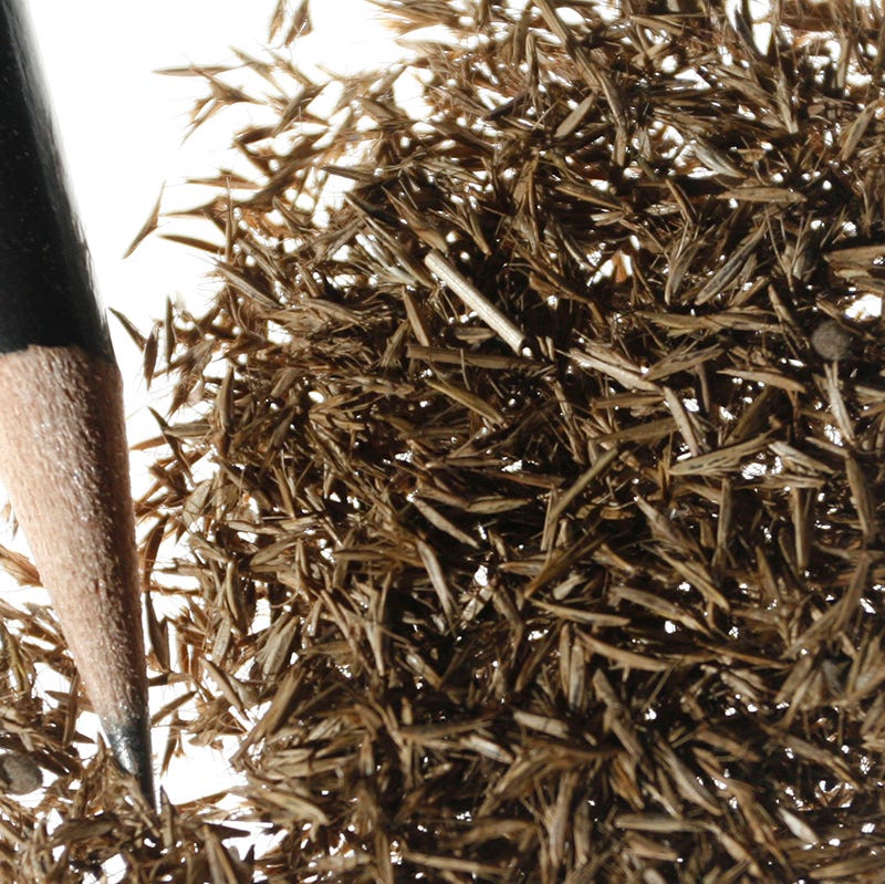 Blue Grama Grass Seeds