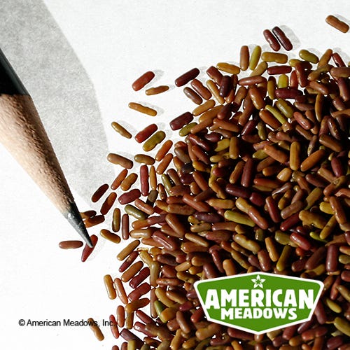 planting crown vetch seed 1/4 lb Crown Vetch Seeds