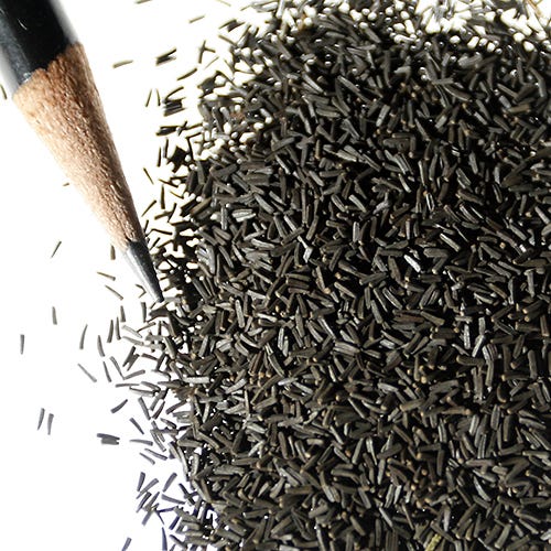 American Meadows Gloriosa Daisy Seeds
