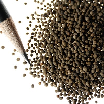 california poppy flower seeds California Poppy Seeds | Orange