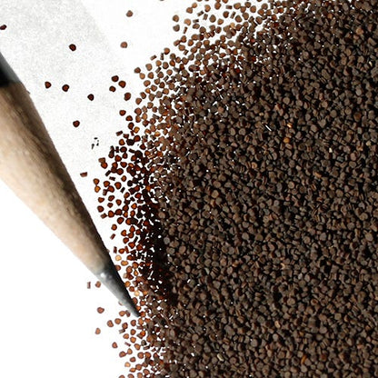 None so Pretty or Catchfly Seeds