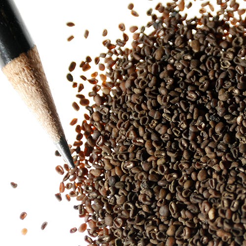 Chinese Houses Seeds