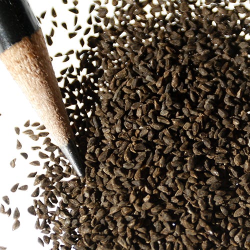 Farewell to Spring Seeds