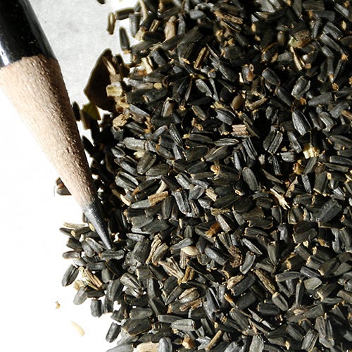 Grey Headed Coneflower Seeds