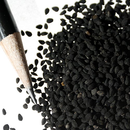 Miss Jekyll Love In A Mist Seeds