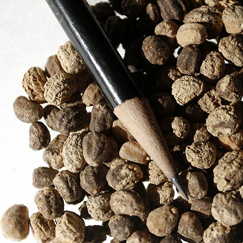 Organic Dwarf Nasturtium Seeds Jewel Mix