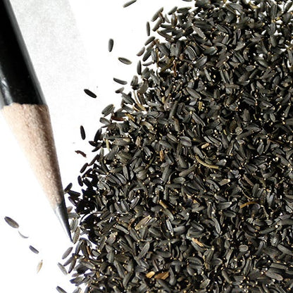 Plains Coreopsis Seeds