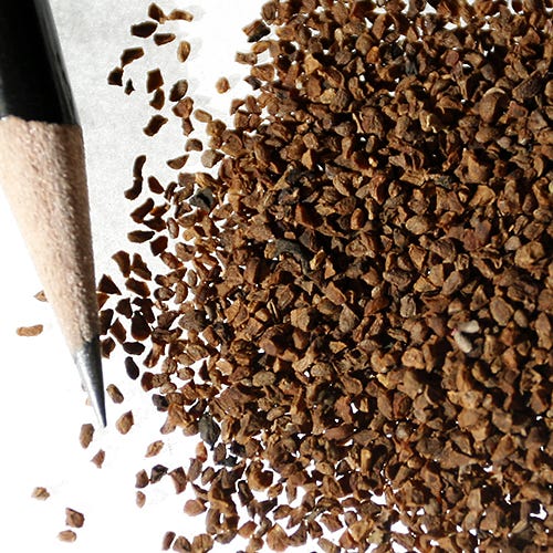 Rocky Mountain Penstemon Seeds