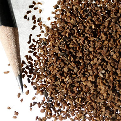 Rocky Mountain Penstemon Seeds