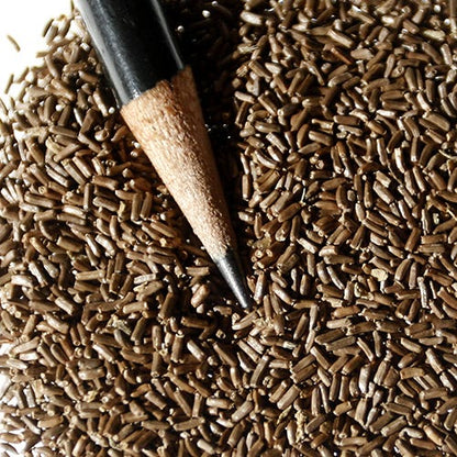 Tall Strawflower Seed Mix