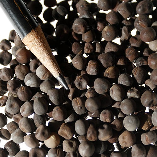sweet pea plant seeds Royal Family Sweet Pea Seeds Mix