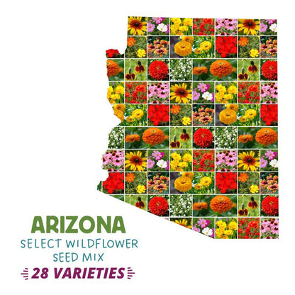auto flower seeds arizona Arizona Select Wildflower Seed Mix