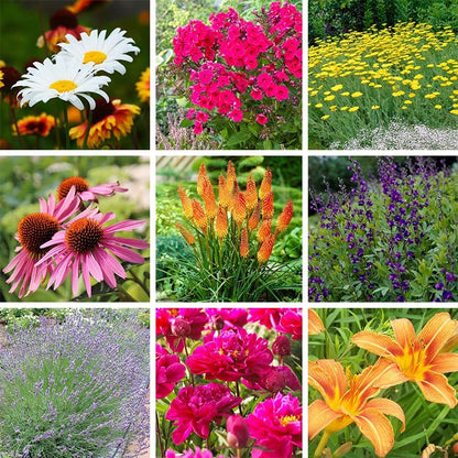 Beautiful Bouquets Pre-Planned Garden