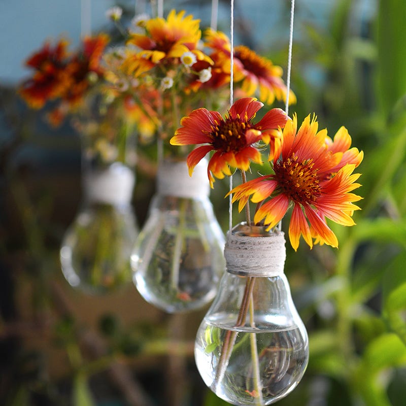 Bouquets For Days Perennial Wildflower Seed Collection