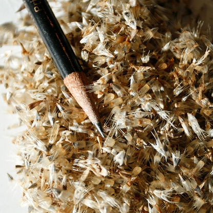 Blanket Flower Seeds