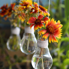 Perennials For Bouquets