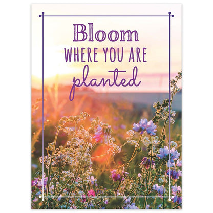 Bloom Where You Are Planted Seed Packet