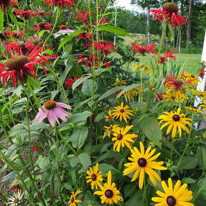 Butterfly & Hummingbird Pre-Planned Garden